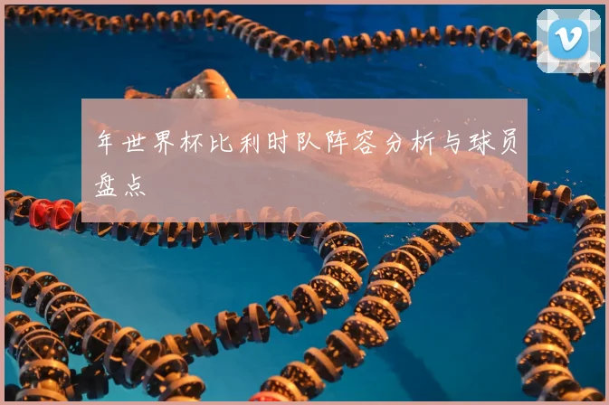 年世界杯比利时队阵容分析与球员盘点