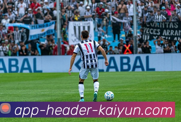 App Interface Preview